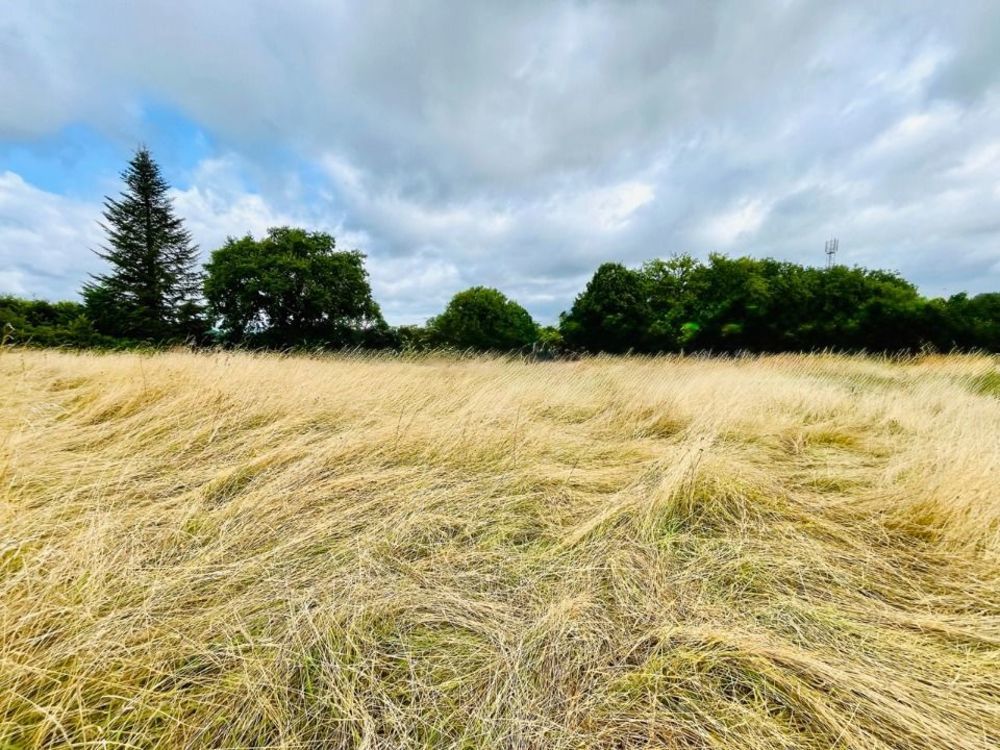 Maisons neuves   Saint-Pierre-de-Chignac (24330)