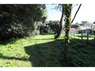  Terrain � vendre 990 m�