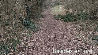  Terrain � vendre 380 m�