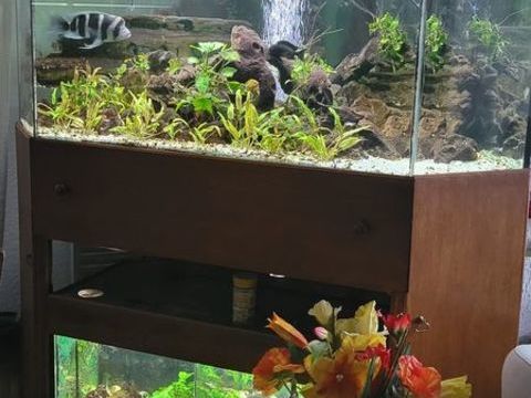 Aquarium d'angle en 2 niveaux (450L+150L) 900 06600 Antibes