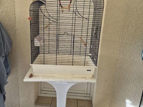 CAGE OISEAUX 40 47300 Villeneuve-sur-lot