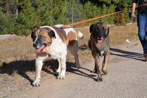HEY TOI, OUI TOI ! C'est moi, DAGA. 195 24140 Douville