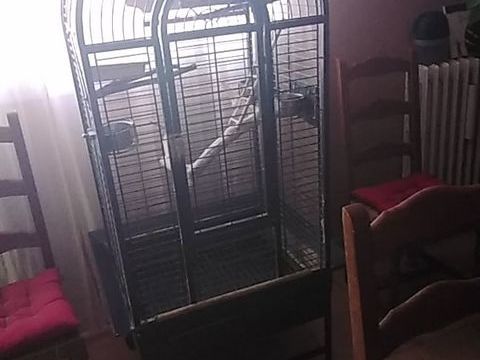 Cage perroquet marque Montana 100 34190 Ganges