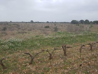  Terrain � vendre 7322 m�