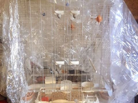 cage neuve montée ht :90 larg:  80 epaiss : 45 90 03220 Jaligny-sur-besbre