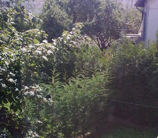  Appartement � louer 2 pi�ces 30 m�