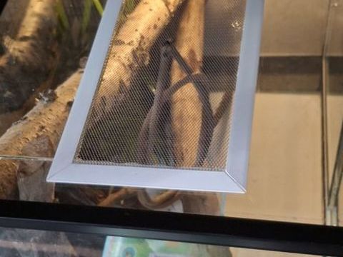 Terrarium grand model 400 91120 Palaiseau