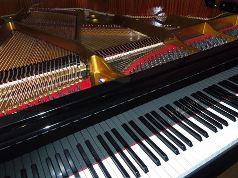 Piano demi queue 12900 Sainte-Colombe-sur-l'Hers (11)