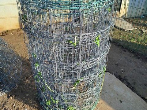 Grillage a mouton 150 85320 Pault