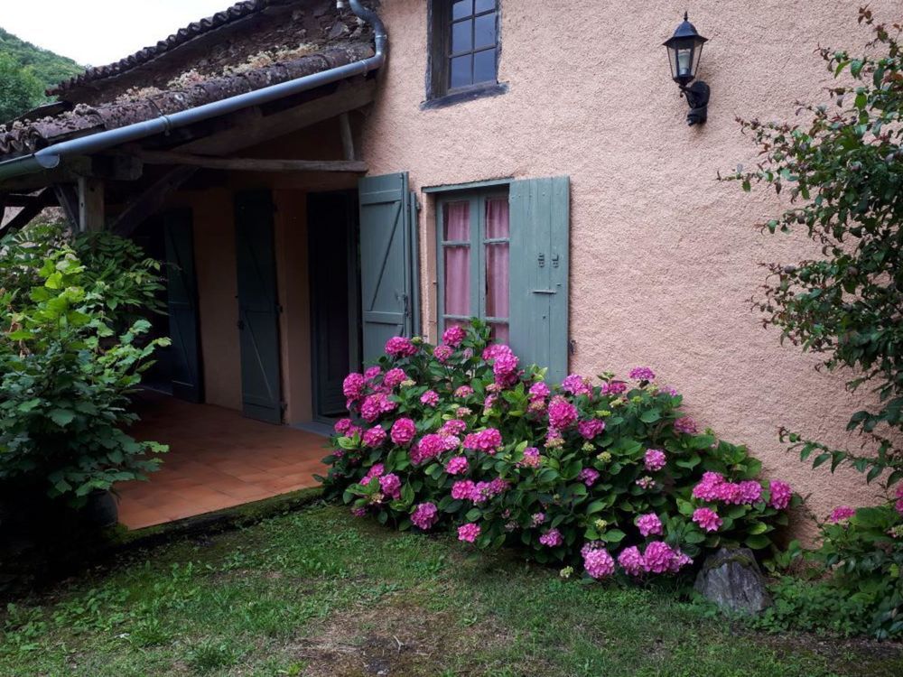 � vendre  Maison Albi (81000)