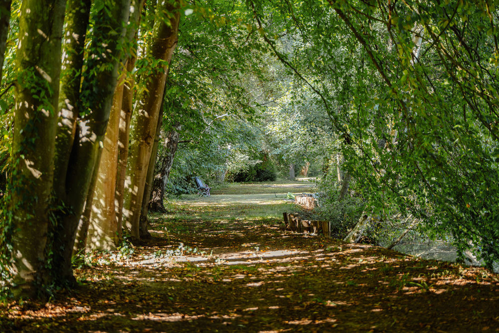 � vendre  Maison Bonneuil-en-Valois (60123)