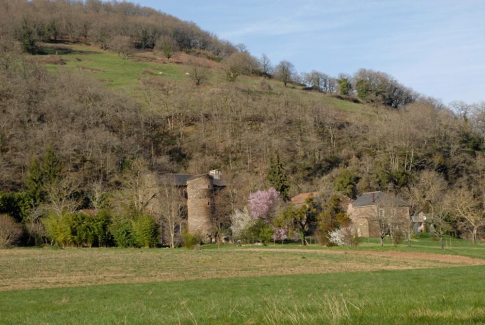 � vendre  Maison Albi (81000)