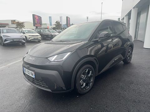 BYD Dolphin 43.2 kWh 156 ch Comfort 5p 2025 occasion Bruz 35170