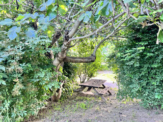  Maison � vendre 7 pi�ces 168 m�