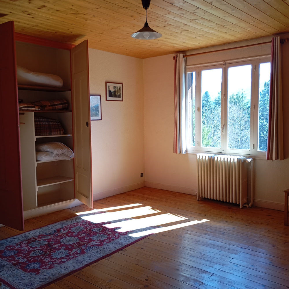 � vendre  Propri�t�/ch�teau Embrun (05200)