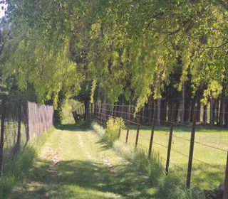  Maison � vendre 7 pi�ces 230 m�