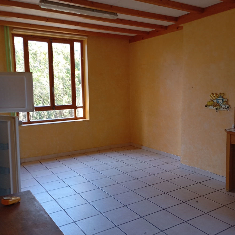 � vendre  Propri�t�/ch�teau Embrun (05200)