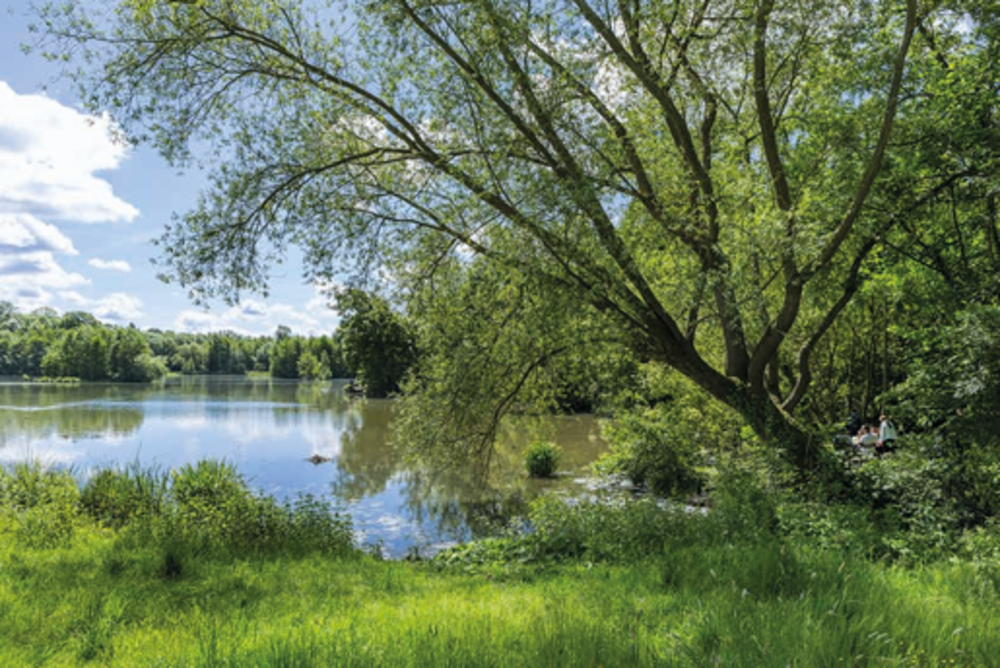   Saint-Thibault-des-Vignes (77400)