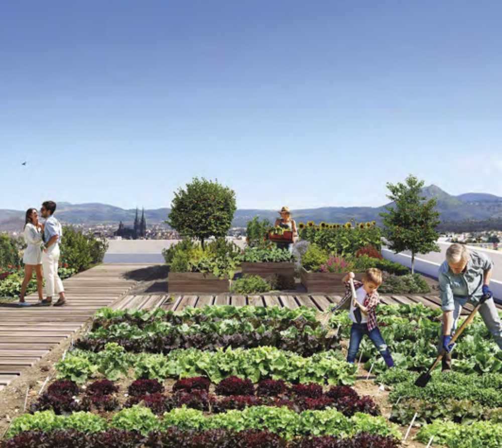   Clermont-Ferrand (63100)