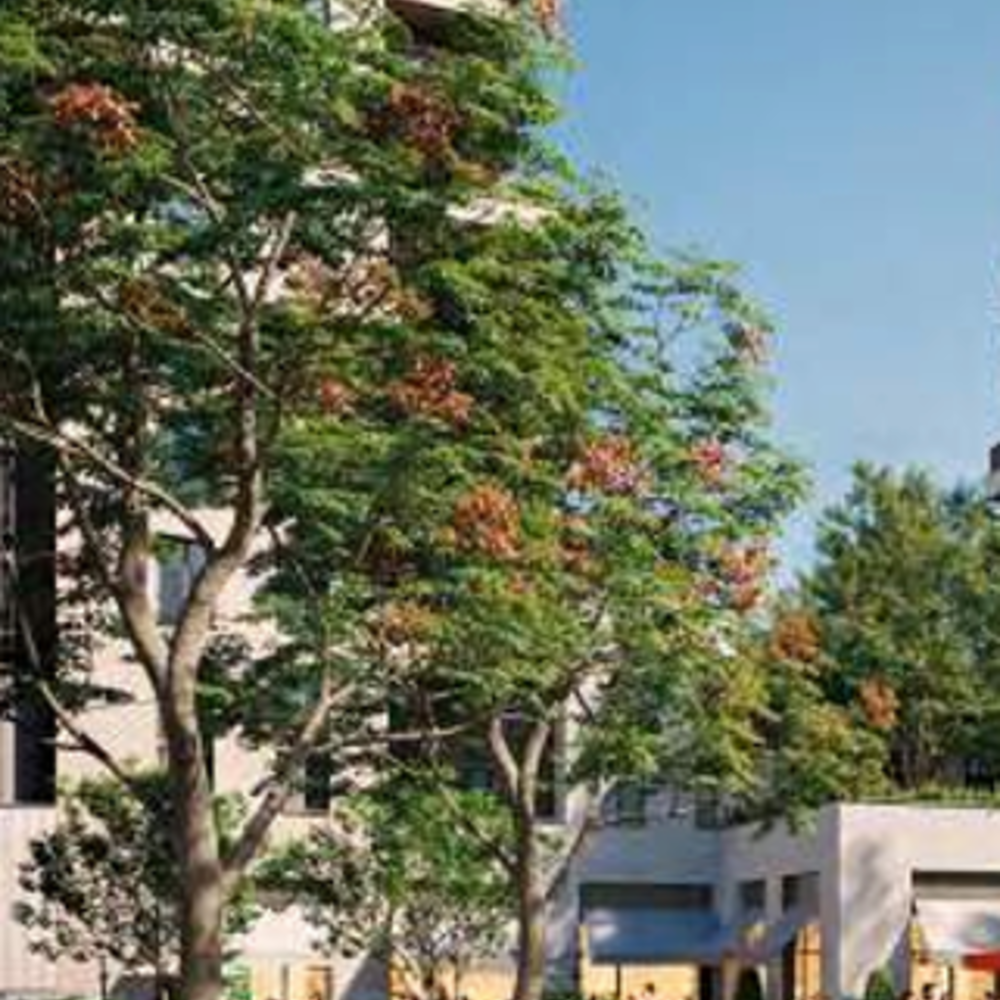   Villeurbanne (69100)