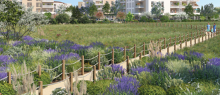  Appartement � vendre 2 pi�ces 40 m�