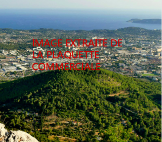  Appartement � vendre 2 pi�ces 38 m�