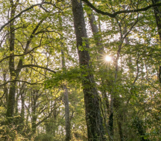  Appartement � vendre 2 pi�ces 42 m�