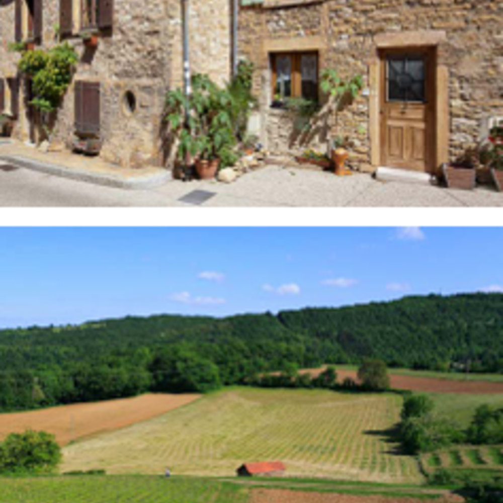   Saint-Romain-au-Mont-d'Or (69270)