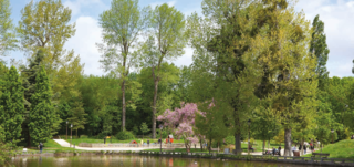  Appartement � vendre 3 pi�ces 61 m�