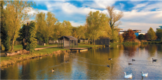  Appartement � vendre 2 pi�ces 37 m�