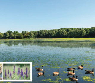  Appartement � vendre 4 pi�ces 130 m�