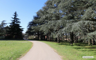  Appartement � vendre 2 pi�ces 44 m�