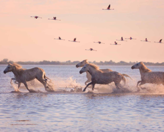  Appartement � vendre 3 pi�ces 64 m�