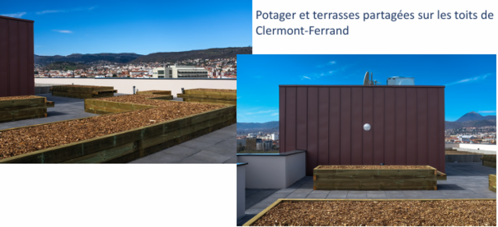   Clermont-Ferrand (63100)