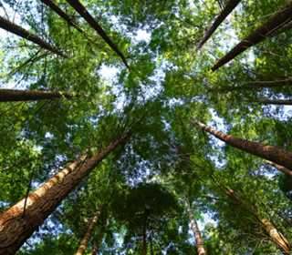  Appartement � vendre 4 pi�ces 97 m�