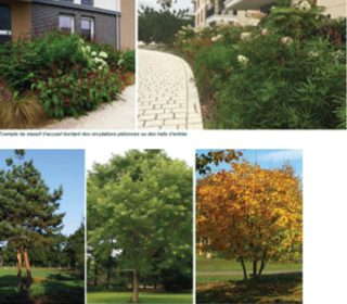  Appartement � vendre 4 pi�ces 79 m�