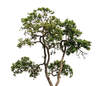  Appartement � vendre 3 pi�ces 59 m�