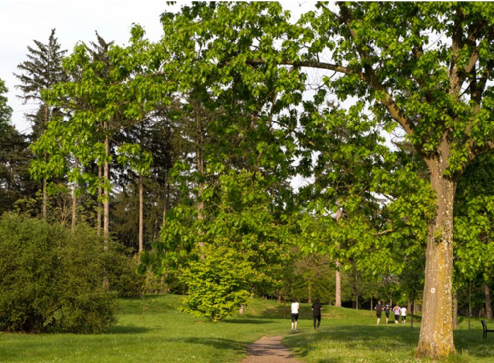   Les Clayes-sous-Bois (78340)