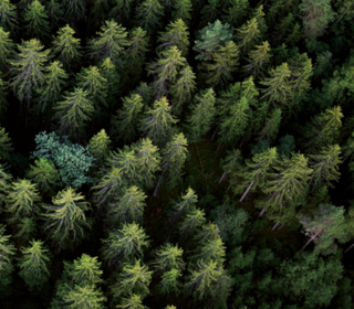  Appartement � vendre 3 pi�ces 65 m�