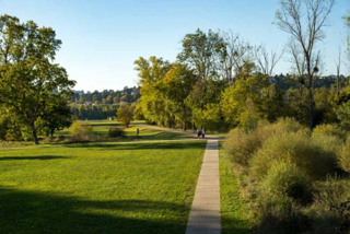  Appartement � vendre 5 pi�ces 113 m�