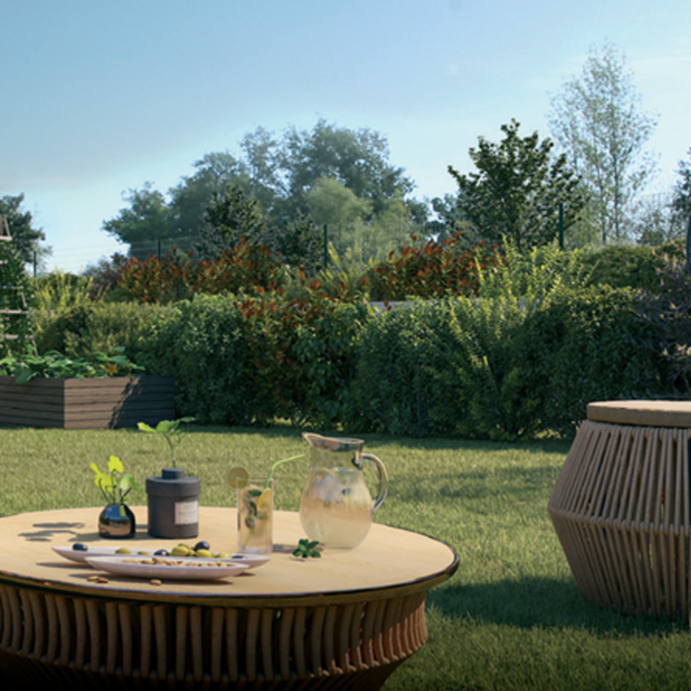   Brugui�res (31150)