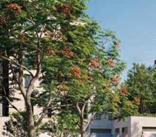  Appartement � vendre 5 pi�ces 101 m�