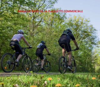  Appartement � vendre 4 pi�ces 87 m�