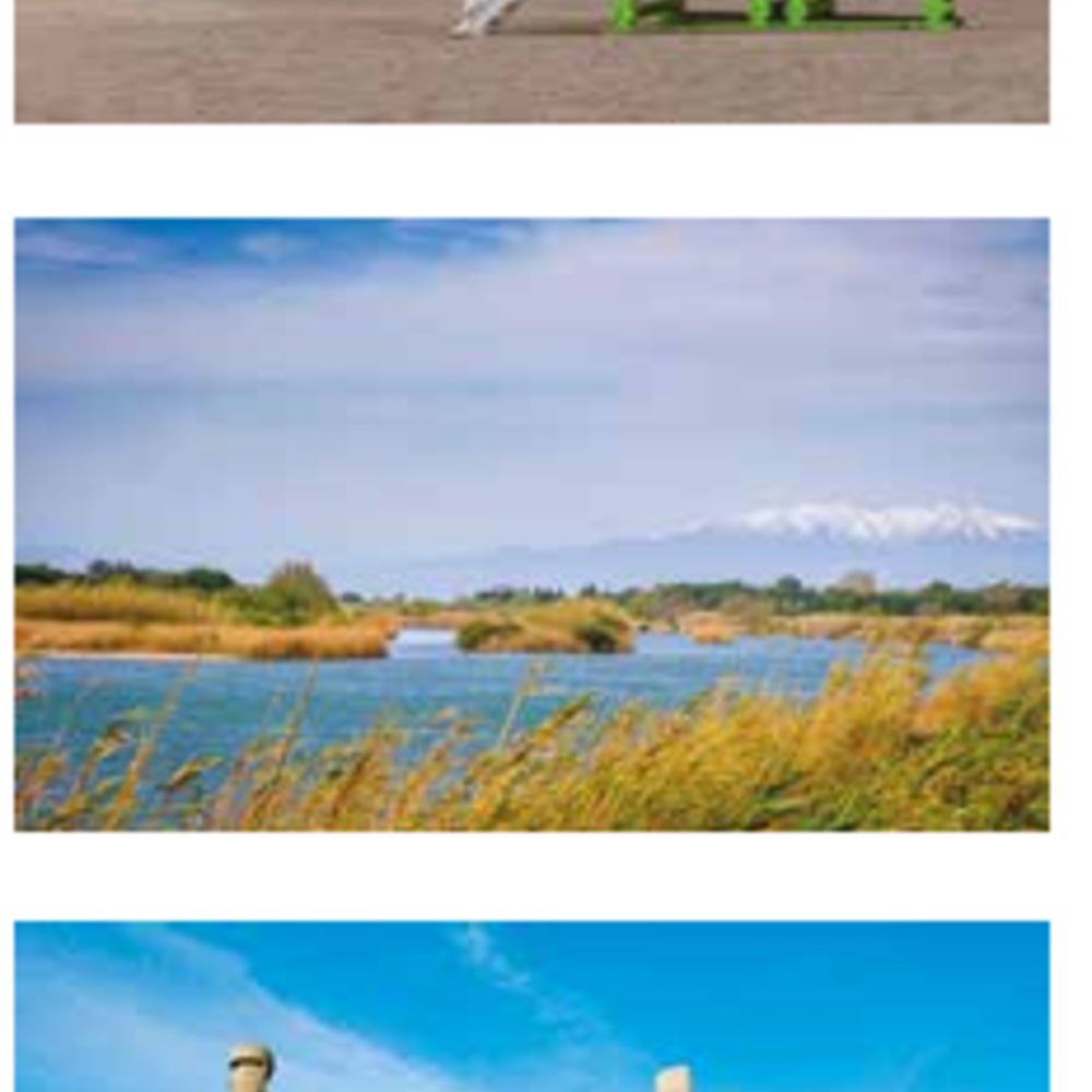   Le Barcar�s (66420)