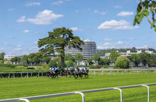  Appartement � vendre 4 pi�ces 86 m�