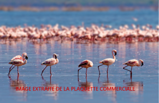  Appartement � vendre 4 pi�ces 101 m�