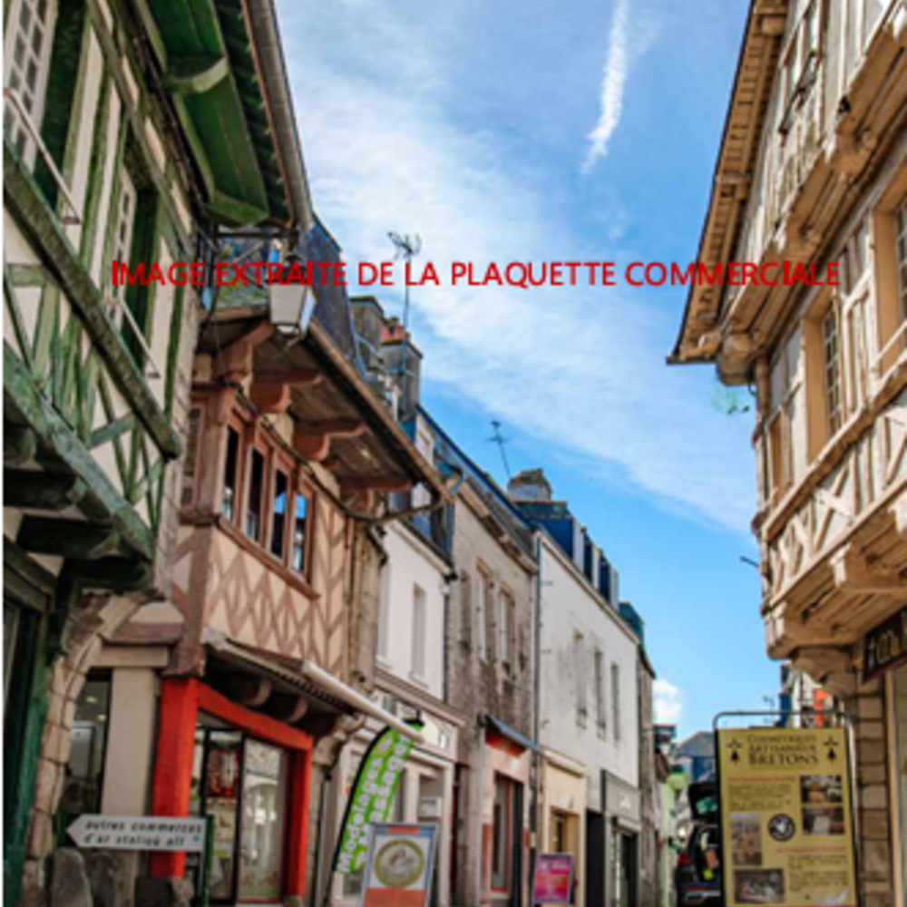   Pontivy (56300)
