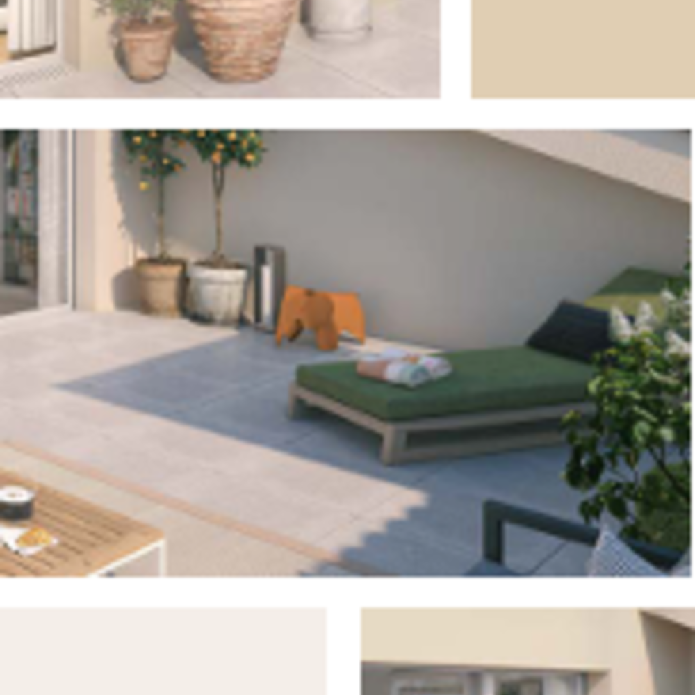   Bormes-les-Mimosas (83230)