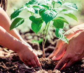  Appartement � vendre 3 pi�ces 70 m�