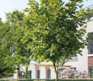  Appartement � vendre 4 pi�ces 82 m�